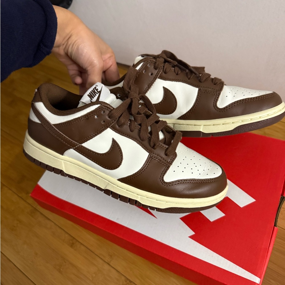 Nike dunks lows